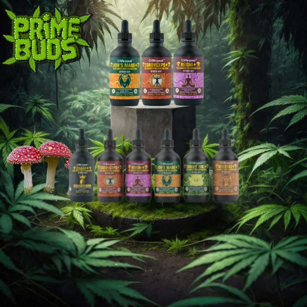 Prime Legend - PMBC Store